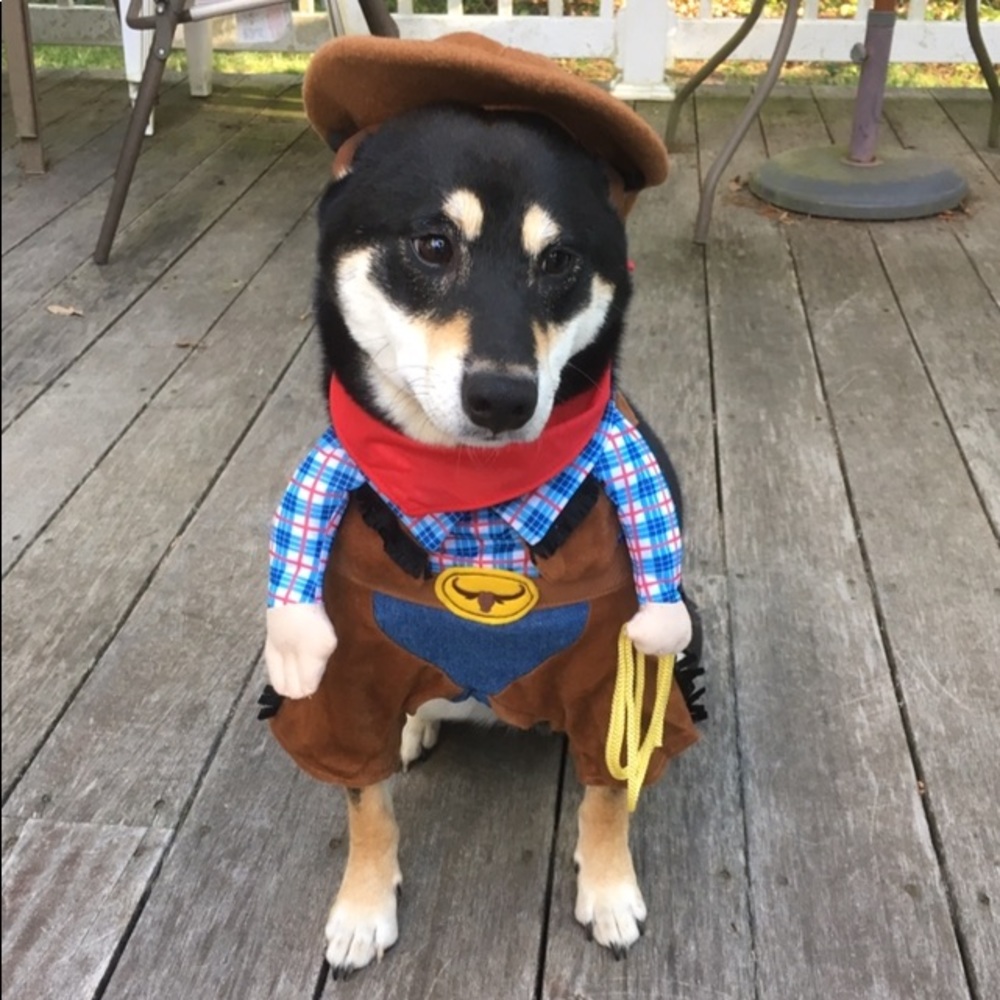 Meet your Posher, Cathy